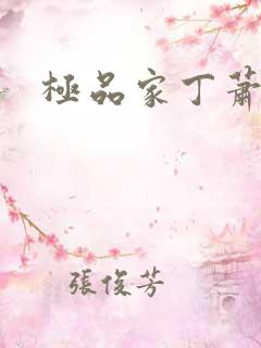 极品家丁萧夫人