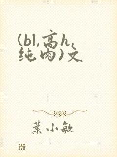 (bl,高h,纯肉)文