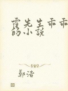 霍先生乖乖宠我的小说