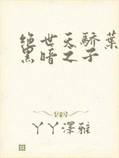 绝世天骄叶凌天黑暗之子