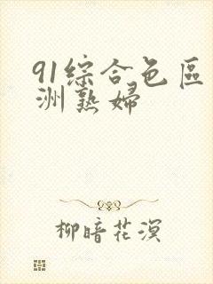 91综合色区亚洲熟妇