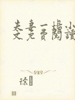 夫妻一场小说全文免费阅读