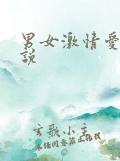 男女激情爱爱小说