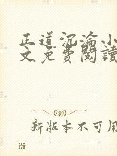 正道沉沦小说全文免费阅读