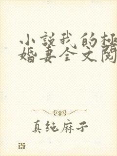 小说我的极品未婚妻全文阅读
