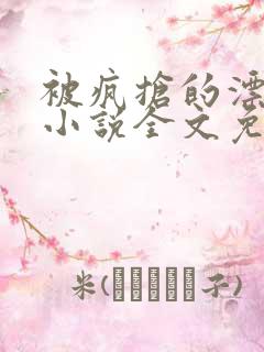 被疯抢的漂亮攻小说全文免费阅读无弹窗
