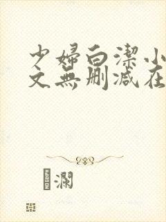少妇白洁小说全文无删减在线阅读