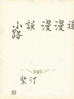 小说 漫漫追妻路
