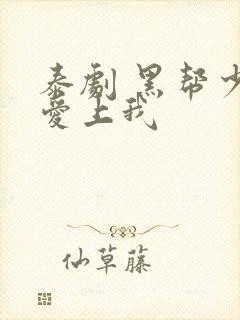 泰剧 黑帮少爷爱上我