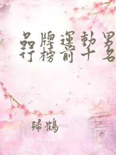 品牌运动男鞋排行榜前十名