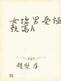 女攻男受极限调教高h