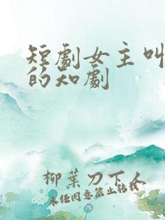 短剧女主叫米粒的知剧