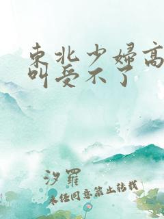 东北少妇高潮大叫受不了