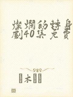 灿烂的转身电视剧40集免费观看高清
