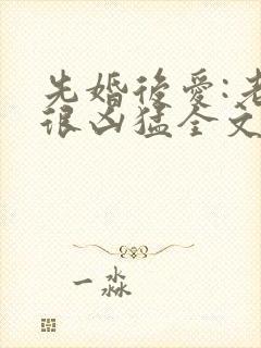 先婚后爱:老公很凶猛全文免费阅读小说