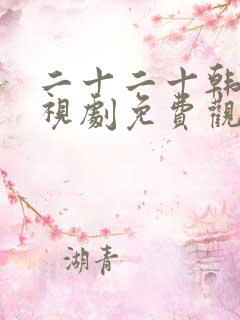 二十二十韩剧电视剧免费观看在线