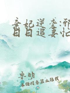弃妃逆袭:邪王日日追妻忙免费阅读