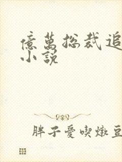 亿万总裁追妻忙小说