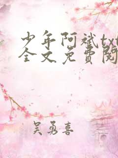 少年阿斌txt全文免费阅读小说