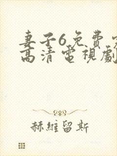 妻子6免费完整高清电视剧看