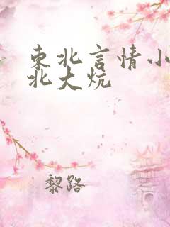 东北言情小说东北大炕