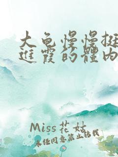 大龟慢慢挺进王进霞的体内