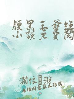 腹黑王爷绝世妃小说免费阅读