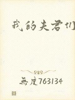 我的夫君们