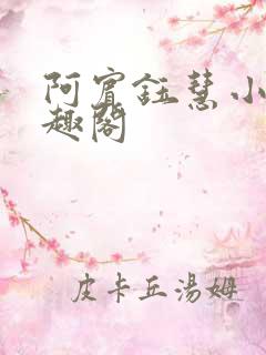 阿宾钰慧小说笔趣阁