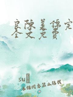 良陈美锦完整版全文免费