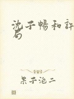 沈子畅和许言结局