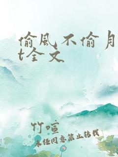偷风不偷月txt全文
