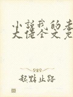 小说我的老公是大佬全文免费阅读