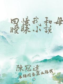 回忆我和母亲的暧昧小说