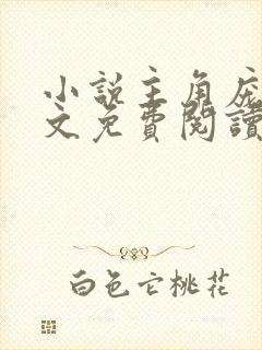 小说主角庞北全文免费阅读