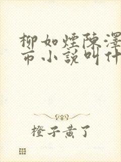 柳如烟陈泽的都市小说叫什么