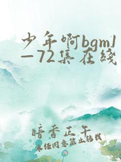 少年啊bgm1—72集在线观看
