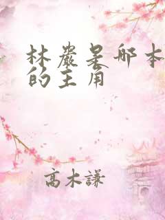 林岩是哪本小说的主角