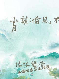 小说:偷风不偷月