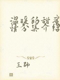 温暖的甜蜜的剧情分集介绍