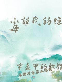 小说我的绝色岳母
