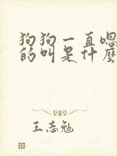 狗狗一直嗯嗯嗯的叫是什么意思