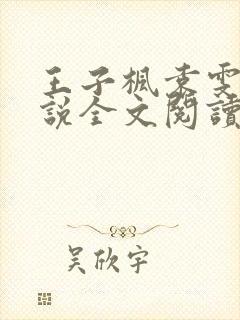 王子枫袁雯洁小说全文阅读