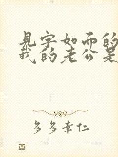 见字如面的小说我的老公是冥王