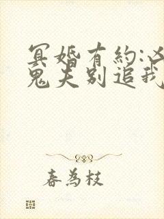 冥婚有约:凶猛鬼夫别追我