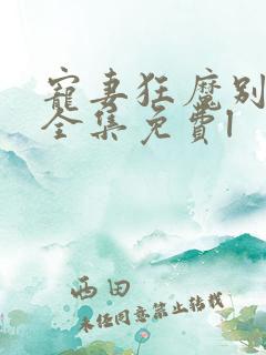 宠妻狂魔别太坏全集免费l