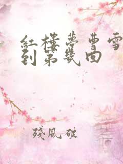 红楼梦曹雪芹写到第几回