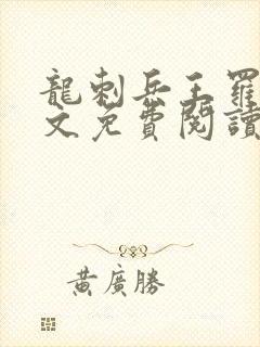 龙刺兵王罗昊全文免费阅读