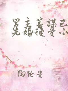 男主蓄谋已久的先婚后爱小说