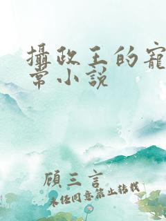 摄政王的宠妻日常小说